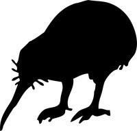 Amazon.com: Kiwi Bird Stencil - 36 Inch (At Longest Point) - 7.5 Mil