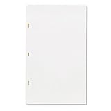 Wilson Jones® Minute Book Legal Refill Ledger Sheets SHEET,RFL,F/0395-31,100BX (Pack of 2)