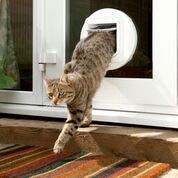SureFlap - Sure Petcare Connected Cat Door - Selective Door- with DualScan Technology - View 6