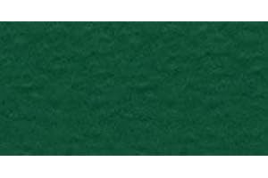 Bazzill Mono Cardstock 12"X12"-Green/Classic