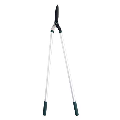 Kew Gardens Colleciton