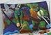 Teenage Mutant Ninja Turtles Standard Pillowcase
