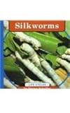 Silkworms (Life Cycles)