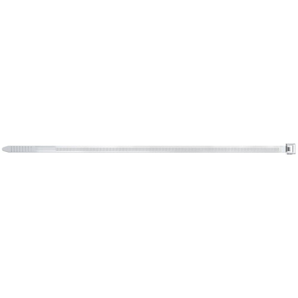 fischer Cable Tie BN 2.5 x 100 Transparent