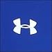 Under Armour Men's UA Performance Team Polo, Royal, XL