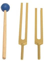 TFS Tuningforkshop Gold Finish C & G Whole Body Tuning Forks