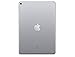 Apple iPad Pro 10.5in (2017) 64GB, Wi-Fi - Space Gray (Renewed)