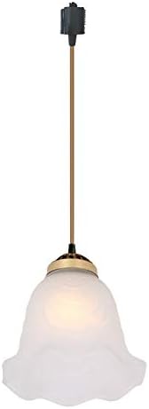 Amazon Kiven ペンダントライト 天井照明 1灯 スリガラス 花びら お花模様 ライト 照明器具 北欧デザイン おしゃれ リビング用ライト トイレ ダクトレール式 工事不要 E26 Led電球対応 Kiven ペンダントライト