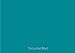 12" x 10 ft Roll of Matte Oracal 631 Turquoise Blue Repositionable Adhesive-Backed Vinyl for Craft Cutters, Punches and Vinyl Sign Cutters by VinylXSticker