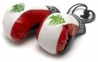 Reppa Mini Boxing Gloves - Lebanon