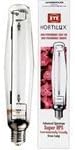 Hortilux LU1000B/HTL/EN by Eye Hortilux