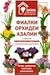 Fialki, orhidei, azalii i drugie krasivotsvetuschie komnatnye rasteniya