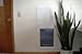 Solo Pet Doors Automatic Electronic Dog and Cat Door (10