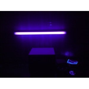 Lights of America 7020BL 24-Inch Undercabinet black Light