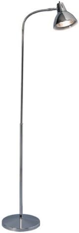 Brewer Chrome Goose Neck Medical Floor Lamp