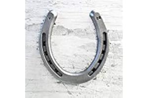 The Heritage Forge Steel Horseshoes Set for Horses, Crafts, Decorations and Backyard Games - Size 00 - Plain - 20 Shoes