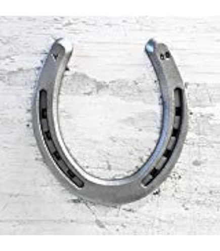 4-Piece Aluminum Alloy Horseshoe Set - Type 6 For Horse Racing & Riding