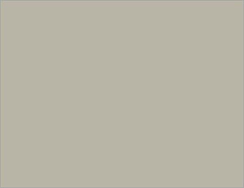 A2 Flat Card 4 1/4 x 5 1/2 - Colors Matt Stone pack 50