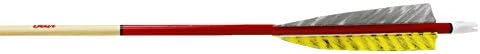 Rose City Archery 65-70 Spine Bear X400 Arrows with 6-Points (Half Dozen), 23/64, Red Crown