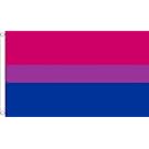 5 ft x 3 ft 150 x 90 cm-Bi-Pride-Gay, lesbienne 100% Polyester Drapeau Banniere idéale pour Festival bar Club l'activité Décoration de Fête