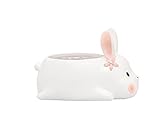 Kipokalor Resin Succulent Planter Pot ,Mini RABIT