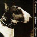 Disco de Pixies: «Here Comes Your Man» (Anverso)