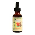 ChildLife: Essentials Echinacea Liquid 1 oz (2 pack)