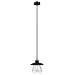 GLOBE Electric 64847 Nate 1-Light Pendant, Oil Rubbed Bronze, Clear Glass Shade