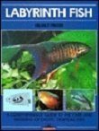 Labyrinth Fish (English and German Edition) by 