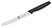 Icel Cutlery Serrated Edge High Carbon Stainless Steel Steak Knife, Black Handle