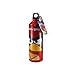 Angry Birds 24 Ounce Aluminum Water Bottle with Carabiner Assortment