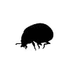 SHMAZ 12.5 Cm * 8.9 Cm Schitterende Artistieke Delicate Insect Shadow Leuke Decal Leuke Auto Sticker Zwart/Zilver