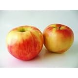 Fresh Honeycrisp Apples (3lb)