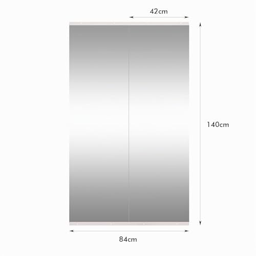 WEER Gym Mirrors, Large Frameless Mirrors, 140 x 42 cm x 2 Pieces, Tempered Glass Wall Mounted Mirrors for Gym, Yoga, Garage, Fitness, Dance, Bedroom