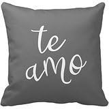 PUDA Chic Dark Gray And White Spanish I Love You Te Amo Throw Pillow Cover For Living Room, Sofa, Etc .