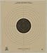 10 Meter (33 Ft.) Air Pistol B40/1