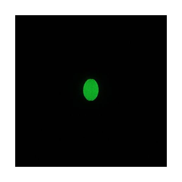 Wildlife-Luminous-Beads-Oval-Shaped-Beads-circle-Beads-Fishing-Lures-Fishing-Bead-Fishing-Tackle-Tools-Eggs-glow-fishing-beads-green