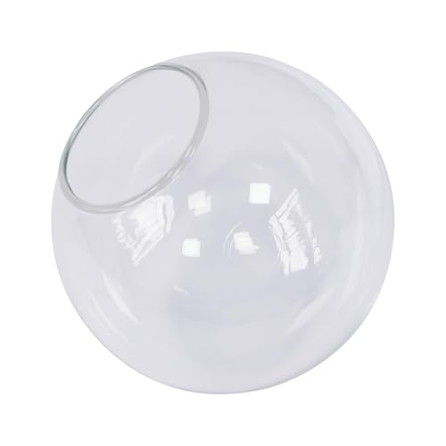 Photo 1 of Koko&Yukina 6 Inch Clear Glass Globes for Light Fixtures Light Globes for Light Fixtures Replacement Clear Glass Light Shade Replacement Glass Shades for Fixtures Chandelier Lamp Shades 2.67 In Fitter
