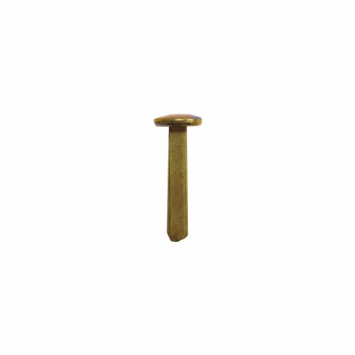 Advantus Round Head Solid Brass Fasteners, 1-1/4 Inch, Size 5, 100-Count (85C)