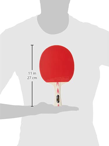 DHS Wood Tennis Bat S-S4F2 With TT Ball 40MM 2 STAR ORANGE (20 Pcs Box) And TT NET 409 2
