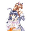 「サクラ大戦」ドラマCD全集 [CD]