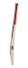 General Motors GM Mana 101 Kashmir Willow Cricket Bat, Short Handle