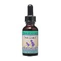 Herbs For Kids Sweet Echinacea Alcohol-Free