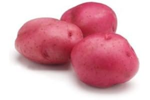 RED POTATOES AT THE NEIGHBORHOOD CORNER STORE POTATOES RED FRESH PRODUCE PER POUND