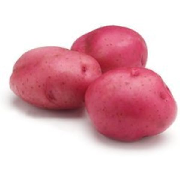Amazon.com: PATATAS ROJAS PRODUCTOS FRESCOS 5 LBS : Comida