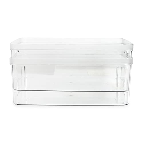 Isaac Jacobs 2Pack Large Clear Storage Bins (11.5” L x 14” W x 5.5” H) w/Cutout Handles