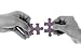 1000 Piece Jigsaw Puzzle - Adult , Couples, Children and Family Puzzles - Underwater Dogs Photo Series Pool Pawty, By Seth Casteel