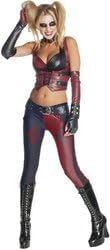 Batman Arkham City Secret Wishes Harley Quinn Adult Costume - Large PROD-ID : 1451659