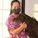 Breathe Healthy Leopard Skin Pattern Face Mask, Reusable Mask for Men and Women, Adjustable, Breathable & Washable, Made in the USA
