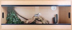 Terapod Slim Vivarium, Beech 36